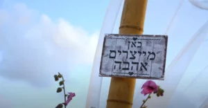 חתונה אקולוגית